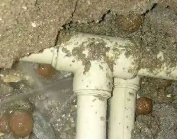 松山测漏水多少钱