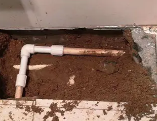 松山测漏水哪家好