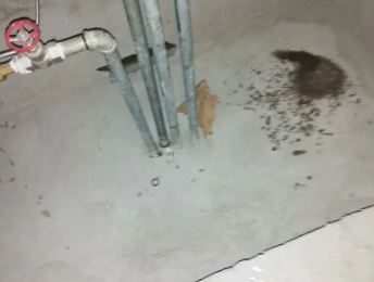 松山卫生间测漏水价格明细