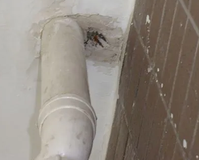 松山漏水检测哪家好